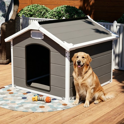Large resin dog - resin,